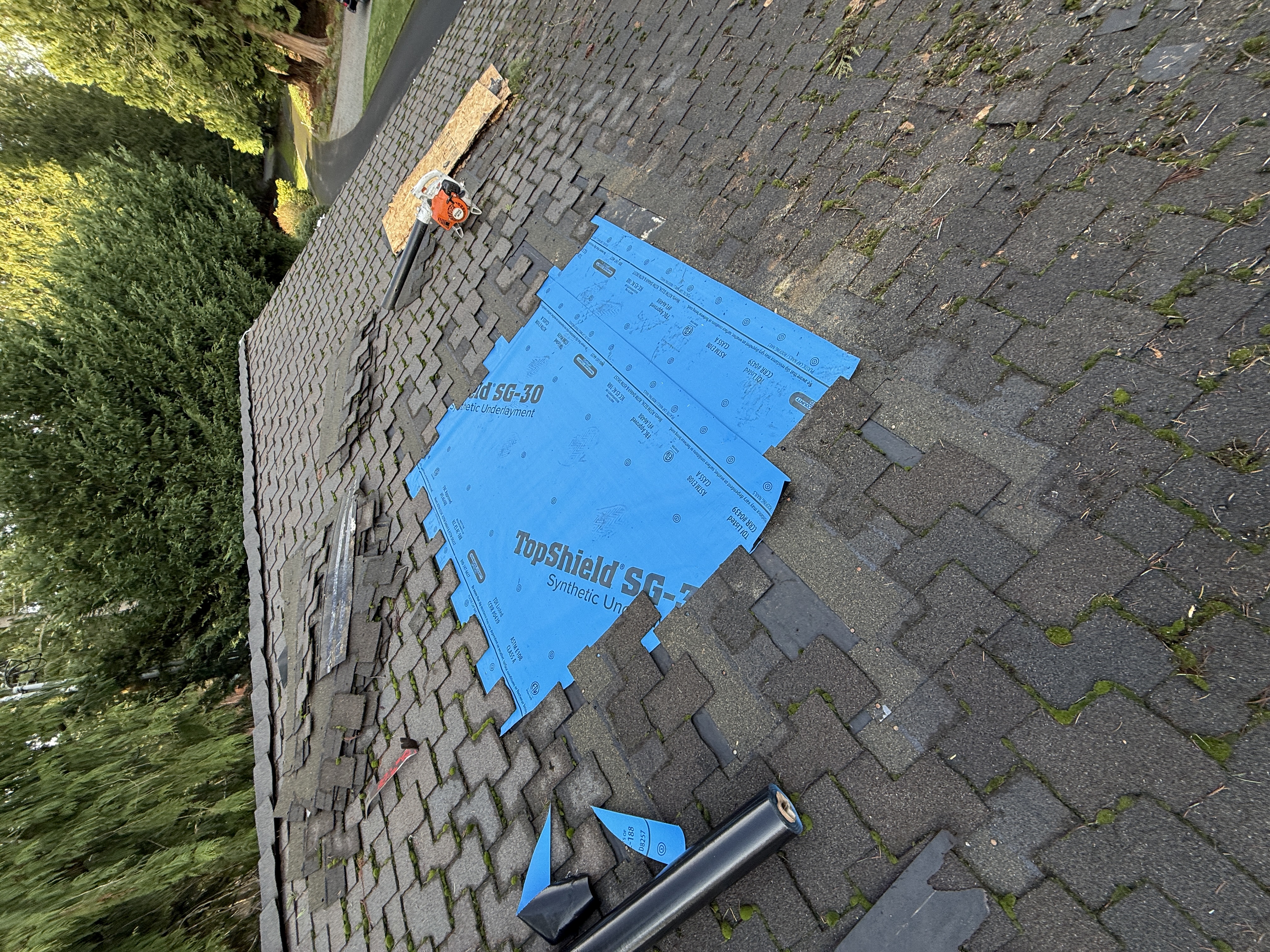 Blitz Roofing roof repair in progress in Lynnwood, WA — shingles torn back exposing synthetic underlayment
